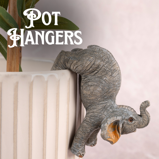Plant pot Hangers and Holders
