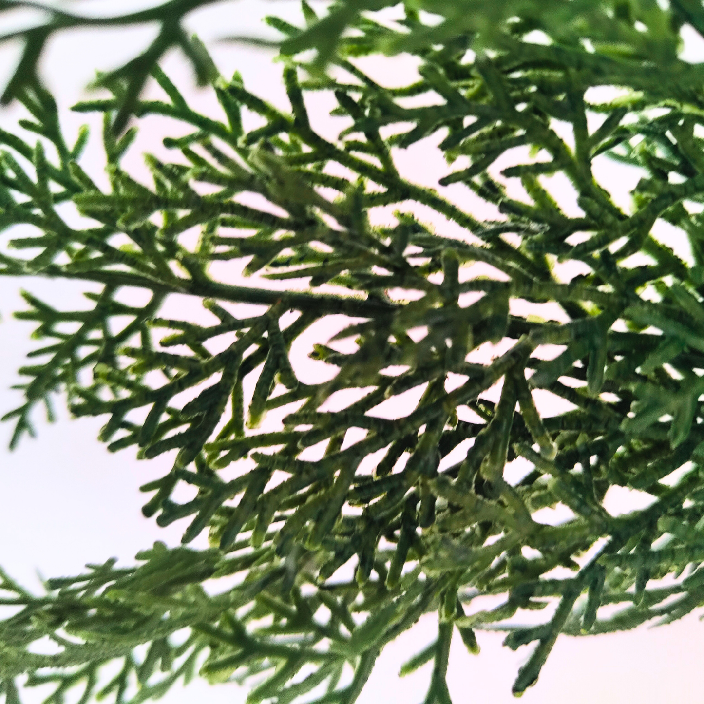 Christmas Cedar Garland