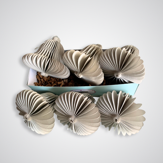 "Snowy Bell" Paper Ornaments - SET of 6