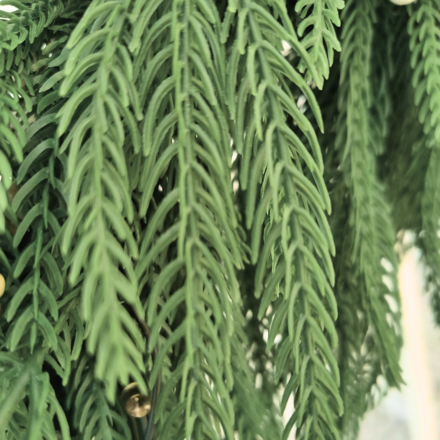 Christmas Garland ( Norfolk Pine Garland )