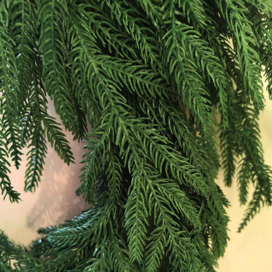 Christmas Norfolk Pine Double Swag