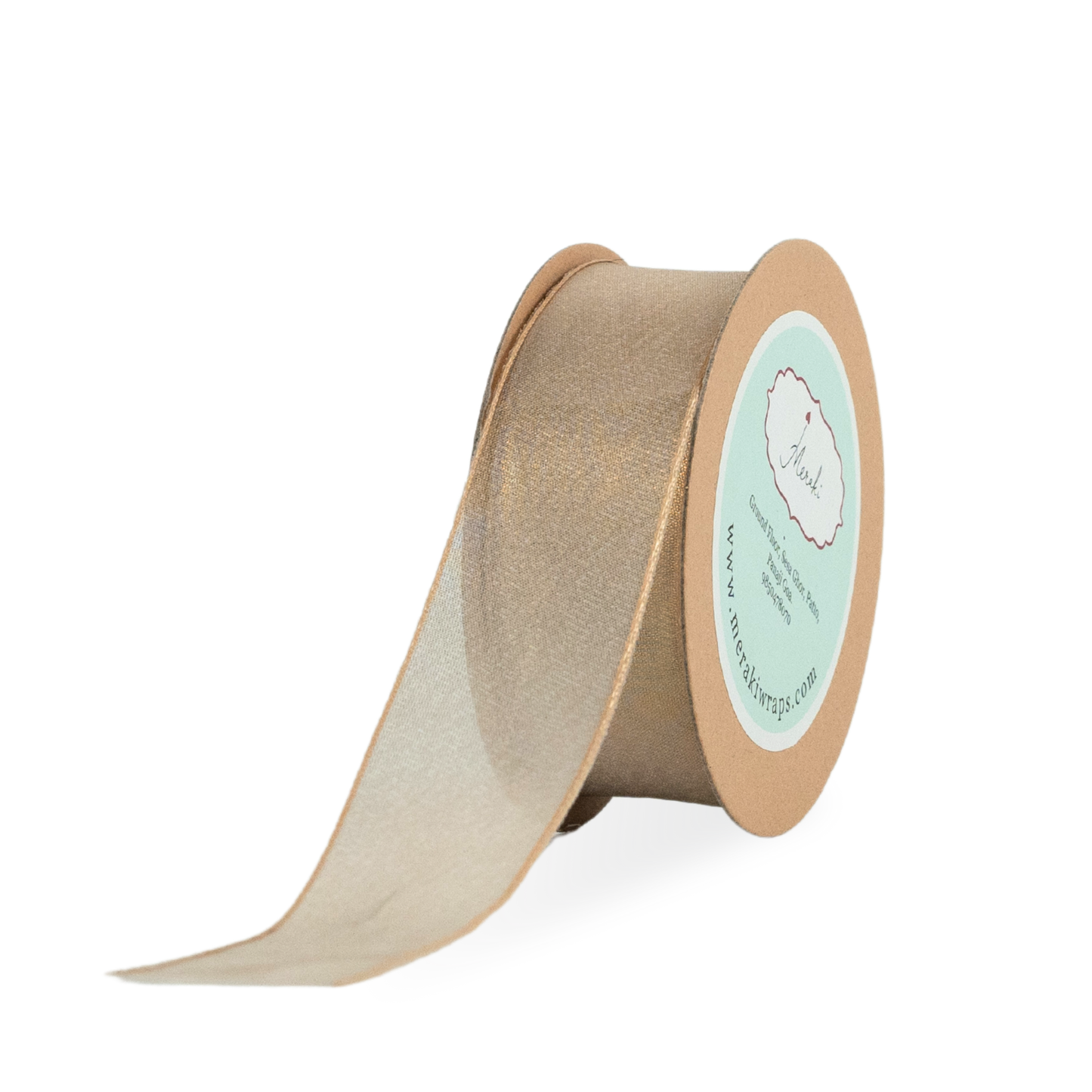 Shimmery Ribbon