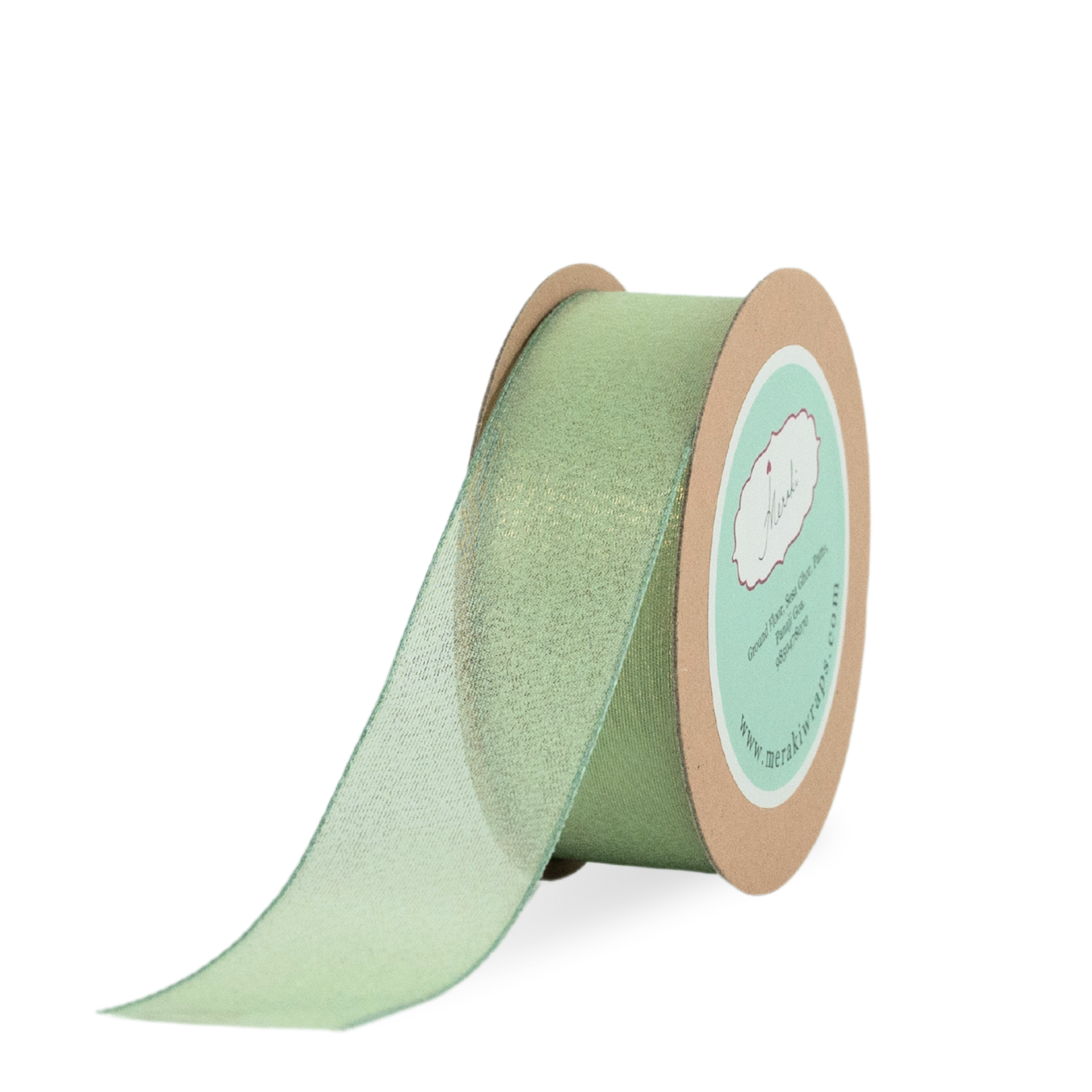 Shimmery Ribbon
