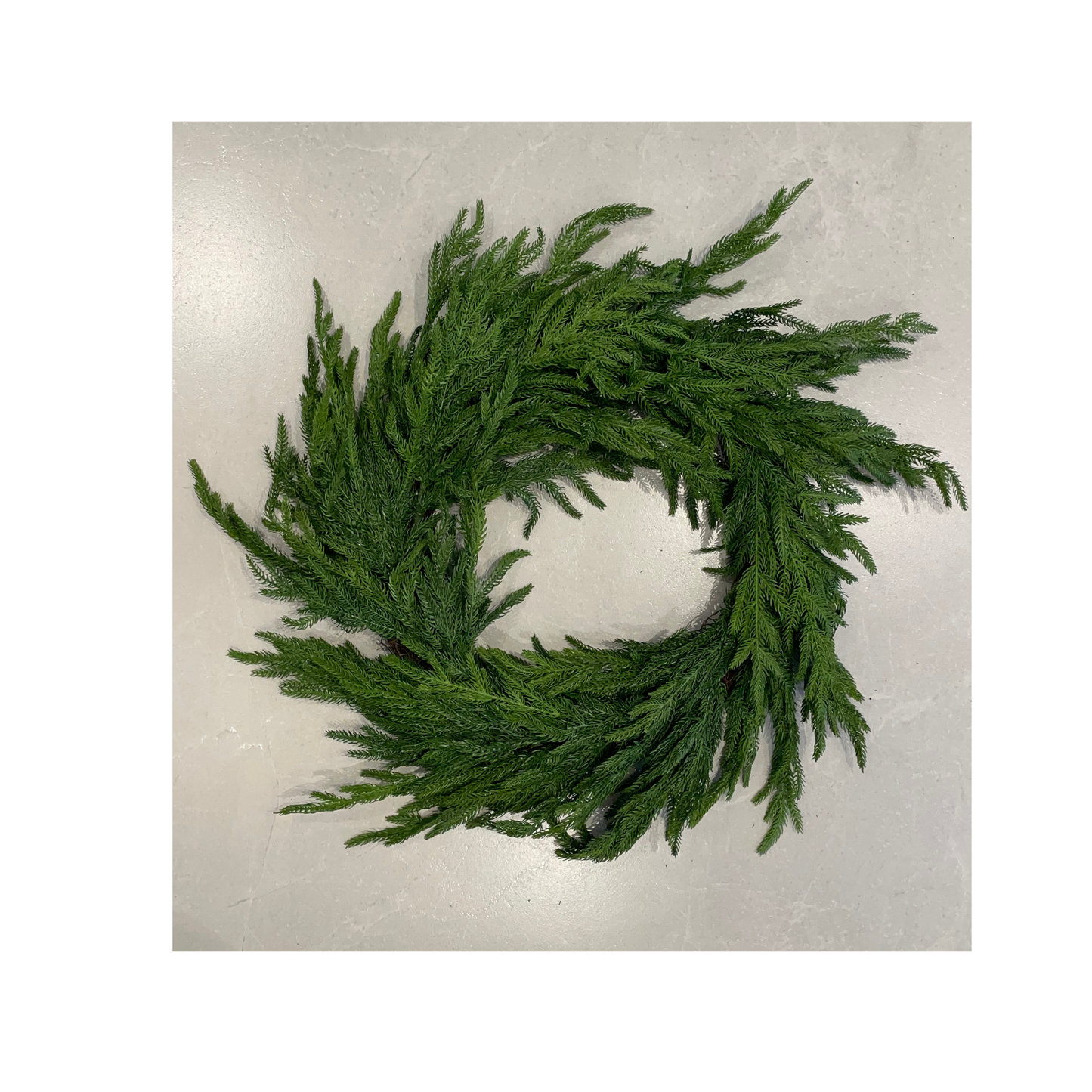 Christmas Norfolk Pine Wreath (medium)