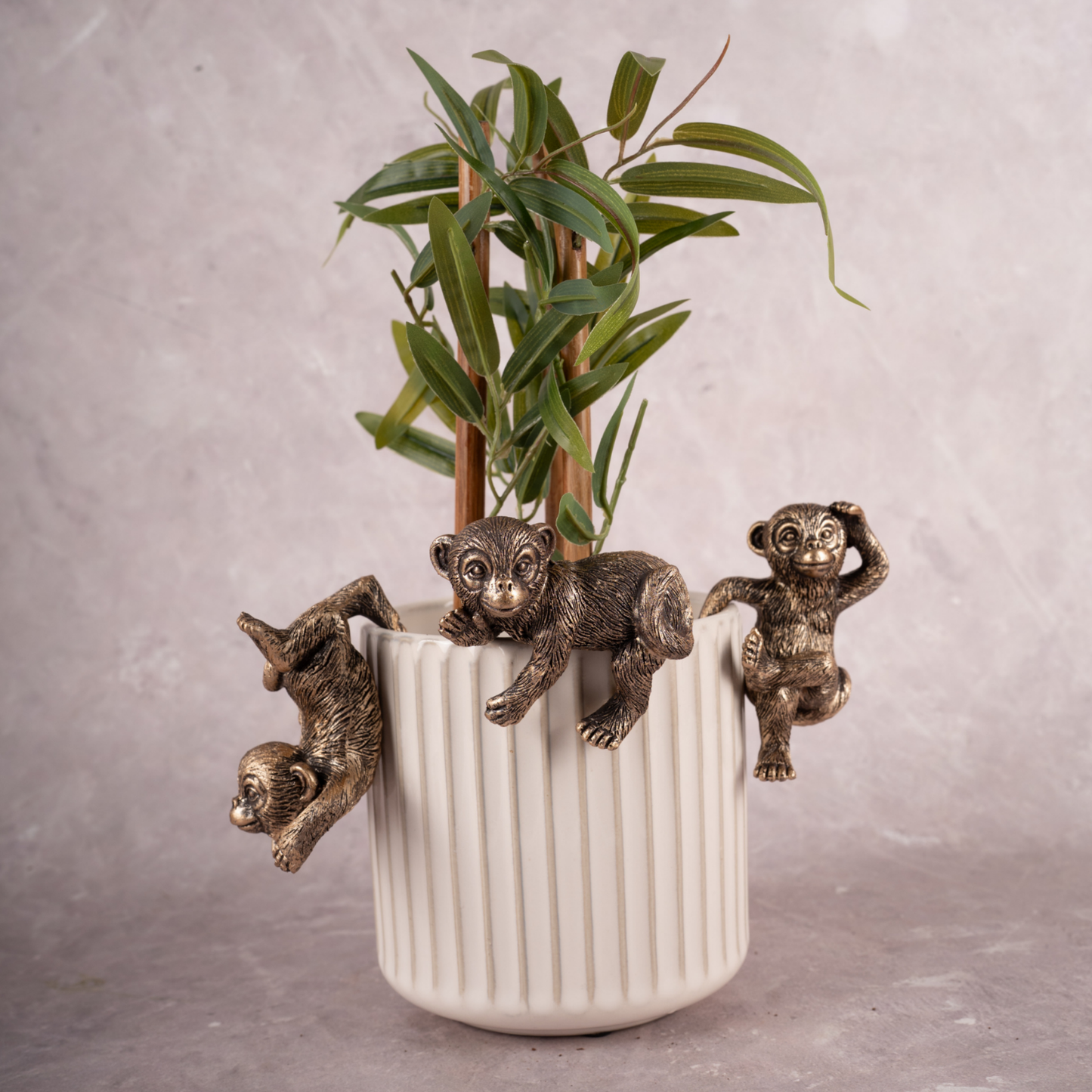 monkey plant hanger Monkey Business