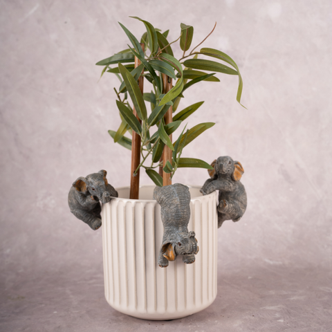 The Gentle Giants - Set of 3 (Grey Brown)