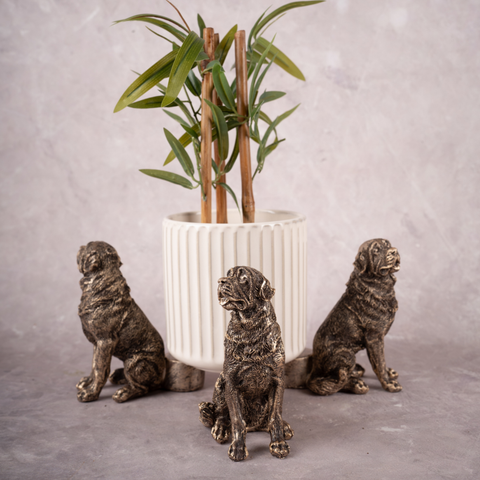 The Gentle Labs - Set of 3 (Gold)