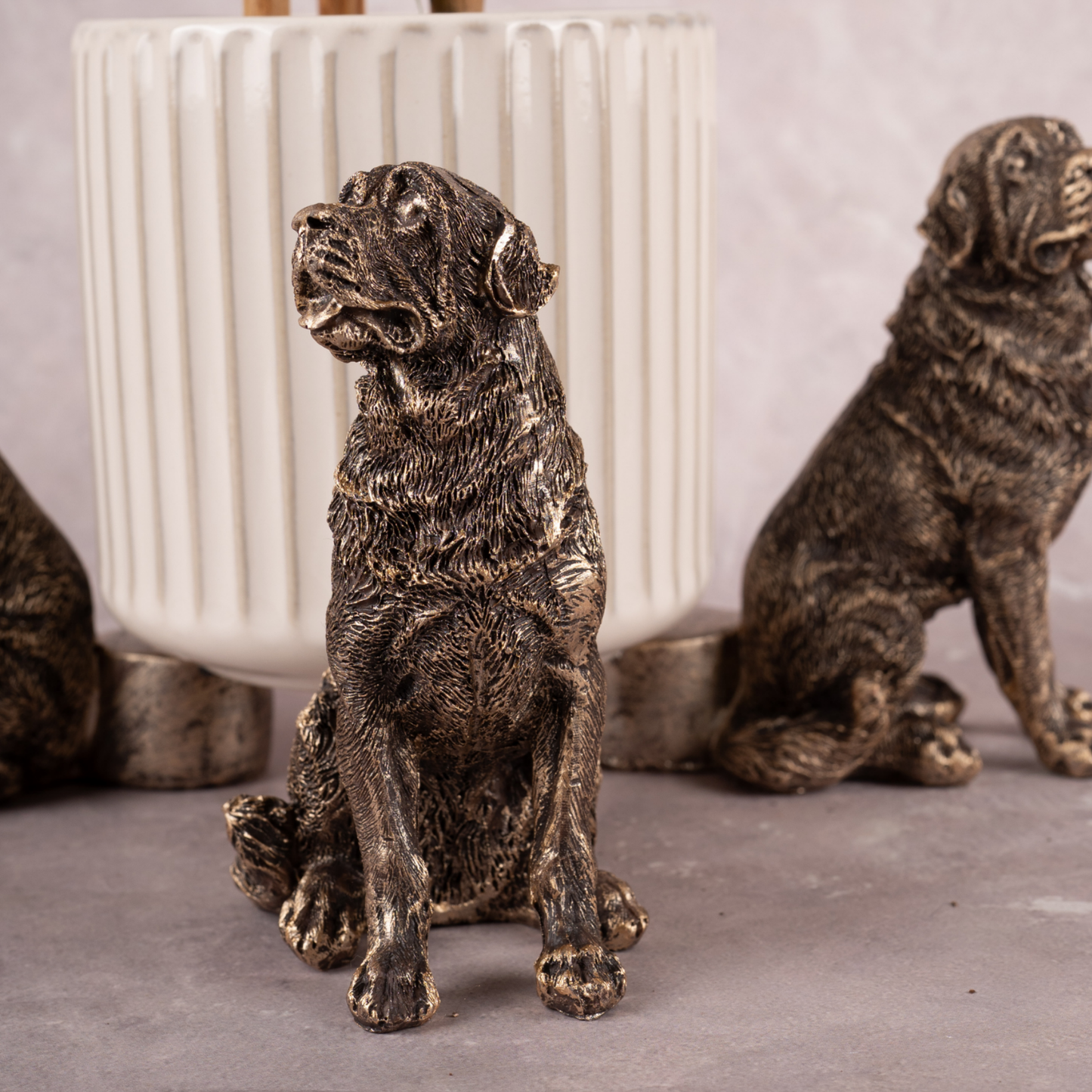 The Gentle Labs - Set of 3 (Gold)