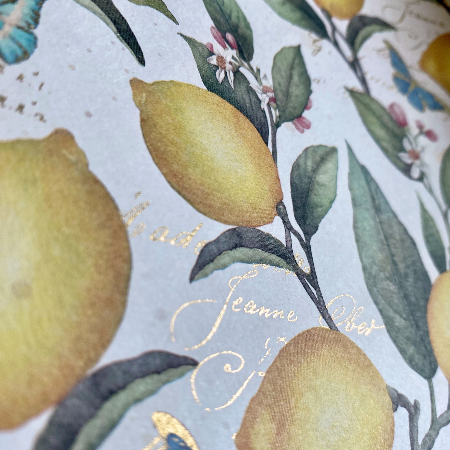 Citrus & Butterflies