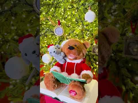 Talking Santa Teddy with Mouse