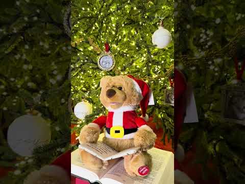 Talking Santa Teddy